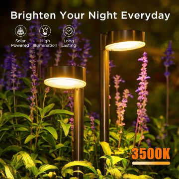 8 Pack Solar Pathway Lights Outdoor, Solar Lights for Outside with Brighter 12 LED, Up to 12 Hrs Outdoor Waterproof Solar Powered Garden Lights for Yard Pathway Walkway Path Driveway