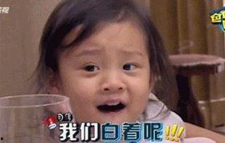 小七表情包动图,萌态百出，笑点连连